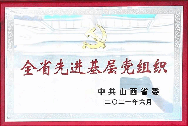 金融学院第二党支部荣获“全省先进基层党组织”荣誉称号
